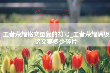 王者荣耀铭文重复的符号_王者荣耀满级铭文要多少碎片