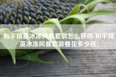 和平精英冰冻风暴套装怎么获得(和平精英冰冻风暴套装要花多少钱)