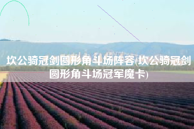 坎公骑冠剑圆形角斗场阵容(坎公骑冠剑圆形角斗场冠军魔卡)