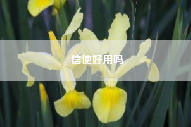 信使好用吗