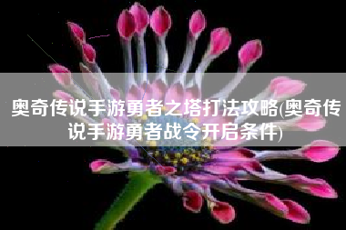 奥奇传说手游勇者之塔打法攻略(奥奇传说手游勇者战令开启条件)