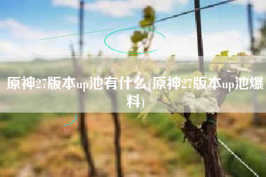 原神27版本up池有什么(原神27版本up池爆料)