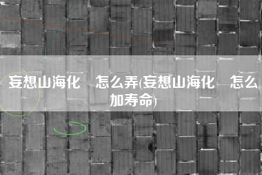 妄想山海化炁怎么弄(妄想山海化炁怎么加寿命)