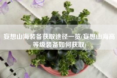 妄想山海装备获取途径一览(妄想山海高等级装备如何获取)
