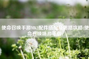 使命召唤手游MK2配件搭配及思路攻略(使命召唤端游下载)