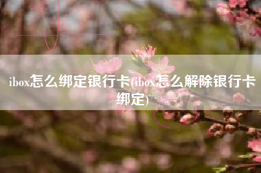 ibox怎么绑定银行卡(ibox怎么解除银行卡绑定)
