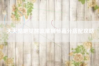 天天酷跑觉醒流星狮爷高分搭配攻略