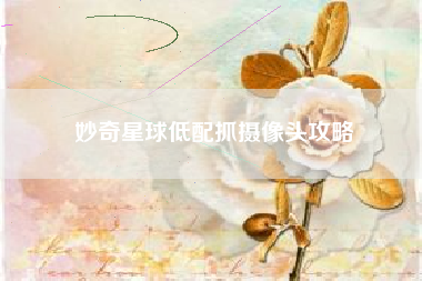 妙奇星球低配抓摄像头攻略