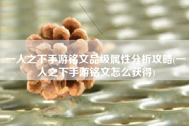 一人之下手游铭文品级属性分析攻略(一人之下手游铭文怎么获得)