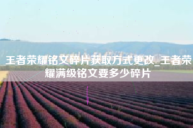 王者荣耀铭文碎片获取方式更改_王者荣耀满级铭文要多少碎片