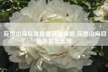 妄想山海目鱼鱼苗获取攻略(妄想山海目鱼鱼苗怎么用)