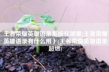 王者荣耀英雄语录系统在哪里(王者荣耀英雄语录有什么用）(王者荣耀英雄语录超燃)