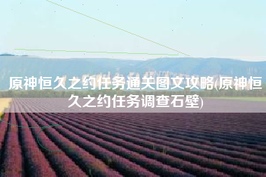 原神恒久之约任务通关图文攻略(原神恒久之约任务调查石壁)
