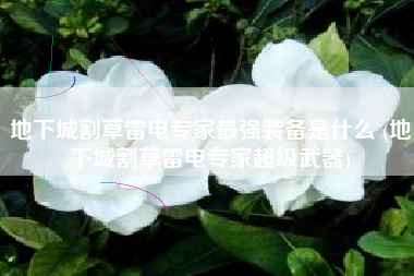 地下城割草雷电专家最强装备是什么 (地下城割草雷电专家超级武器)