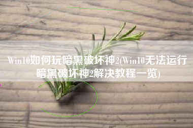 Win10如何玩暗黑破坏神2(Win10无法运行暗黑破坏神2解决教程一览)