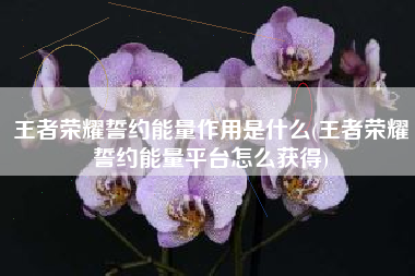 王者荣耀誓约能量作用是什么(王者荣耀誓约能量平台怎么获得)