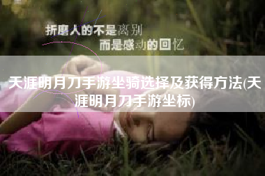 天涯明月刀手游坐骑选择及获得方法(天涯明月刀手游坐标)