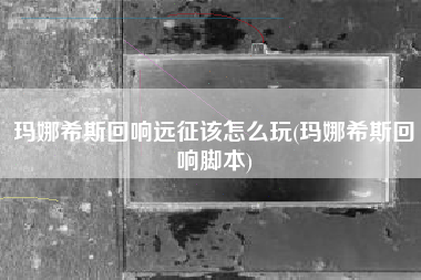 玛娜希斯回响远征该怎么玩(玛娜希斯回响脚本)
