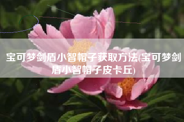 宝可梦剑盾小智帽子获取方法(宝可梦剑盾小智帽子皮卡丘)