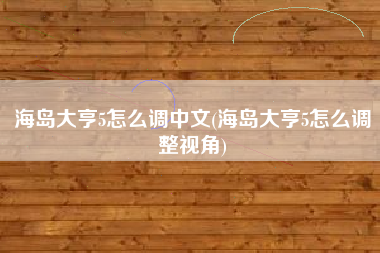 海岛大亨5怎么调中文(海岛大亨5怎么调整视角)