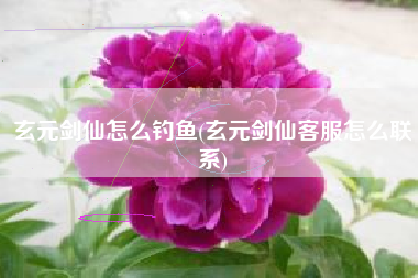 玄元剑仙怎么钓鱼(玄元剑仙客服怎么联系)