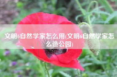 文明6自然学家怎么用(文明6自然学家怎么造公园)