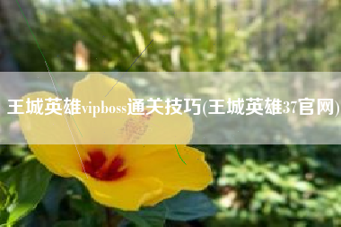 王城英雄vipboss通关技巧(王城英雄37官网)