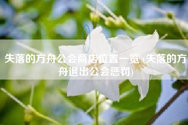 失落的方舟公会商店位置一览 (失落的方舟退出公会惩罚)