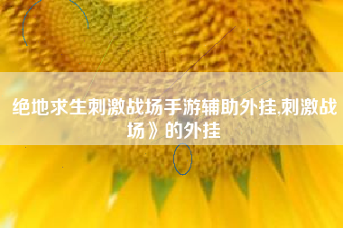 绝地求生刺激战场手游辅助外挂,刺激战场》的外挂