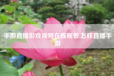手游直播游戏视频在线观看,怎样直播手游