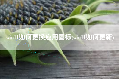 win11如何更换应用图标(win11如何更新)