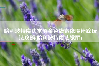 哈利波特魔法觉醒金色线索隐匿迷踪玩法攻略(哈利波特魔法觉醒)