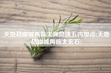 天地劫幽城再临太渊隐逸五内加点(天地劫幽城再临太玄石)