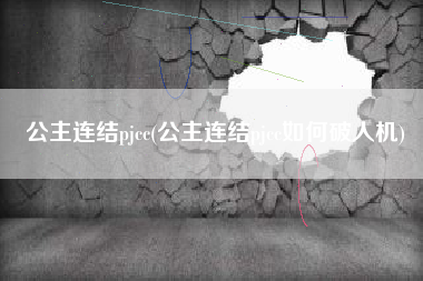 公主连结pjcc(公主连结pjcc如何破人机)