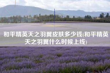 和平精英天之羽翼皮肤多少钱(和平精英天之羽翼什么时候上线)