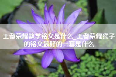 王者荣耀教学铭文是什么_王者荣耀猴子的铭文最好的一套是什么