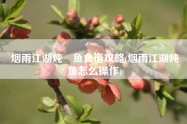 烟雨江湖炖鲙鱼食谱攻略(烟雨江湖炖鲙鱼怎么操作)