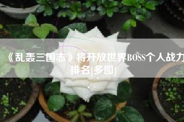 《乱轰三国志》将开放世界BOSS个人战力排名[多图]