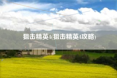 狙击精英4(狙击精英4攻略)