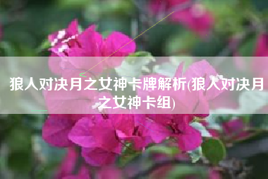 狼人对决月之女神卡牌解析(狼人对决月之女神卡组)