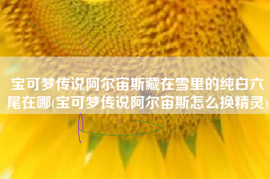 宝可梦传说阿尔宙斯藏在雪里的纯白六尾在哪(宝可梦传说阿尔宙斯怎么换精灵)