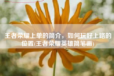 王者荣耀上单的简介，如何玩好上路的位置(王者荣耀英雄简笔画)