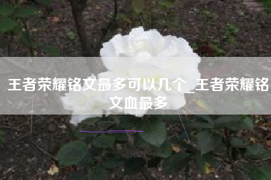 王者荣耀铭文最多可以几个_王者荣耀铭文血最多