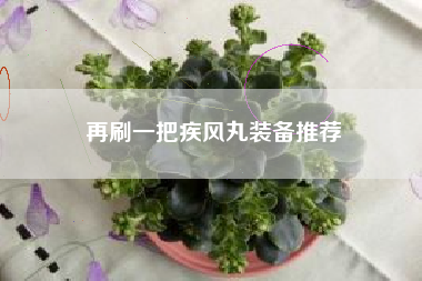 再刷一把疾风丸装备推荐