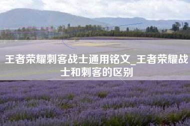 王者荣耀刺客战士通用铭文_王者荣耀战士和刺客的区别