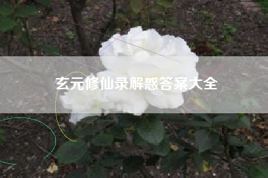 玄元修仙录解惑答案大全