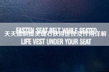 天天撸啊撸灵魂石获得途径及作用详解