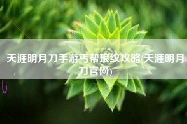 天涯明月刀手游丐帮琅纹攻略(天涯明月刀官网)