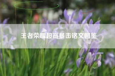 王者荣耀超高暴击铭文图鉴