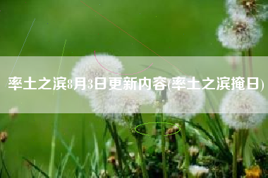率土之滨8月3日更新内容(率土之滨掩日)